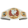 NXT Women's North American Championship Replica Title Belt