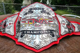 New TNA World Tag Team Championship Belt – Own the Gold!