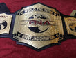 TNA World Tag Team Championship Replica Title Belt